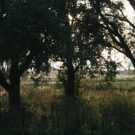 Landhaus An Der Wiek Poseritz エクステリア 写真